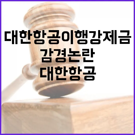 공정위, 대한항공 이행강제금 감경 논란 해명