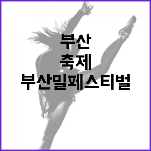 부산 밀 페스티벌, 화명생태공원서 즐긴 주말 축제