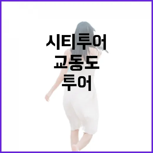 교동도 시티투어, 봄꽃과 평화의 여정