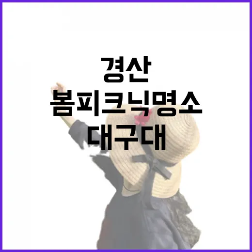 경산 대구대 캠퍼스 봄 피크닉 명소