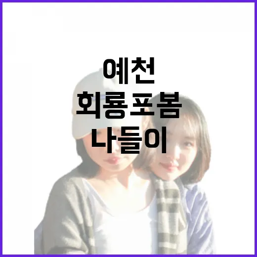예천 회룡포 봄꽃축제, 자연과 함께하는 힐링 나들이