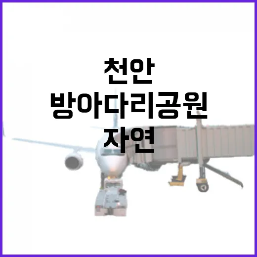 천안 방아다리공원, 도심 속 자연과 휴식의 명소