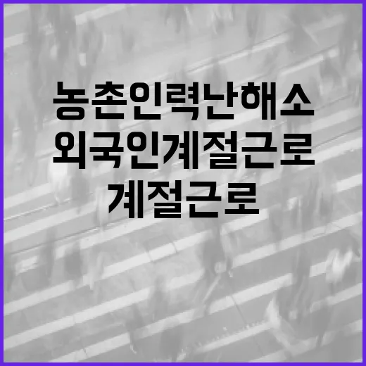 외국인 계절근로 역대 최대 배정, 농촌 인력난 해소 총력