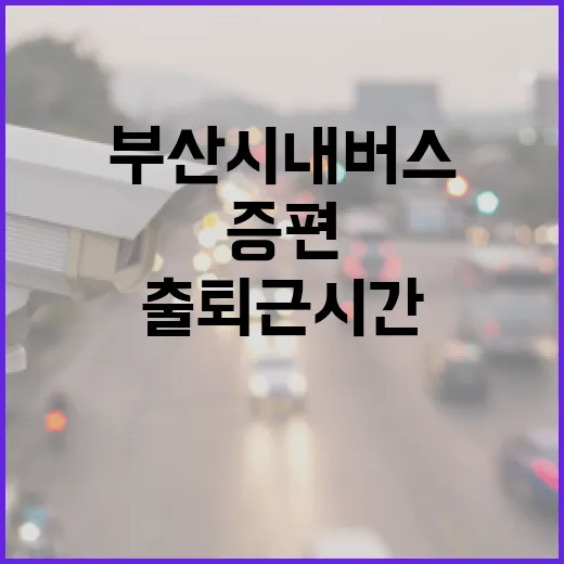 부산 시내버스 출퇴근 시간 증편 운행 시작