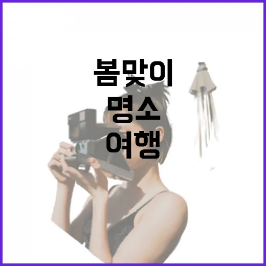예천 봄맞이 도보 여행 명소 3선