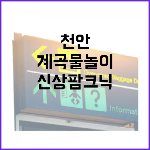 천안 신상 팜크닉 농장, 계곡 물놀이 명소로 주목
