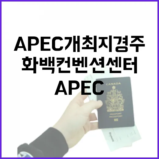 APEC 개최지 경주 화백컨벤션센터 현장