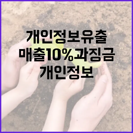 개인정보 유출 엄정 대응, 매출 10% 과징금 도입