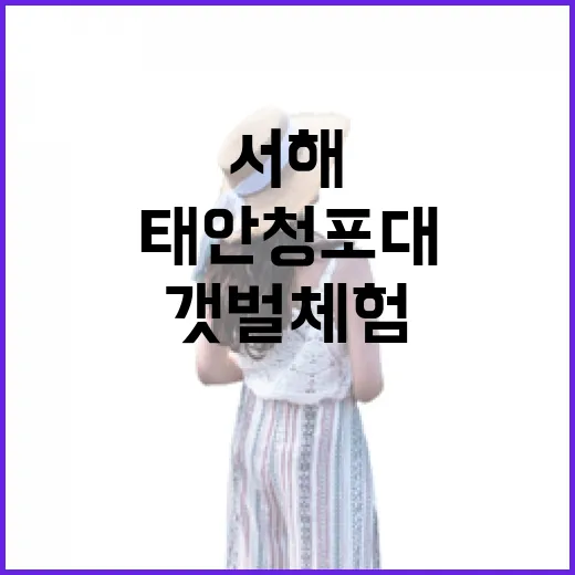 서해 낙조와 갯벌 체험 명소 태안 청포대