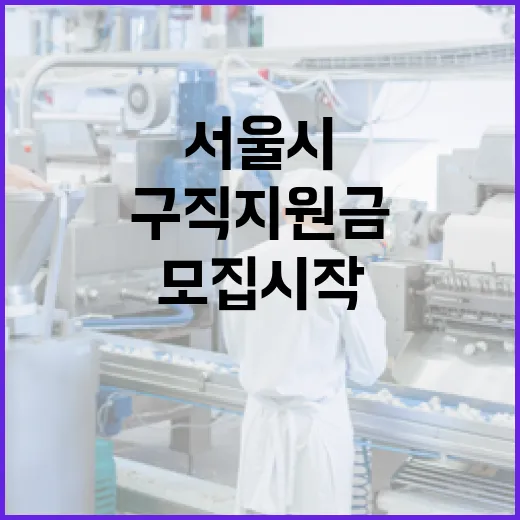서울시 경력단절 여성 구직지원금 2차 모집 시작