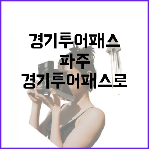 경기투어패스로 만나는 파주의 매력