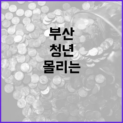 부산 청년 몰리는 대우제약의 비밀