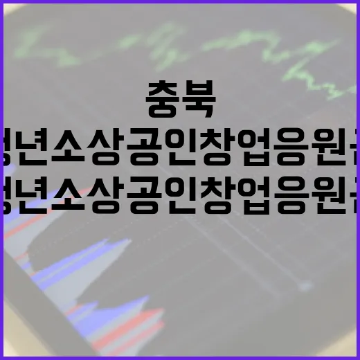 충북 청년소상공인 창업응원금 지원 시작