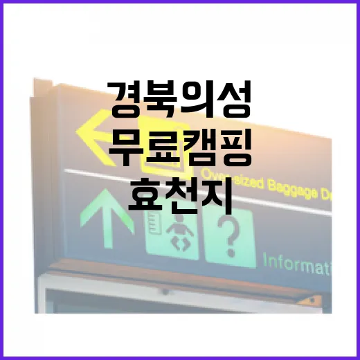 경북 의성 효천지 무료 캠핑 명소
