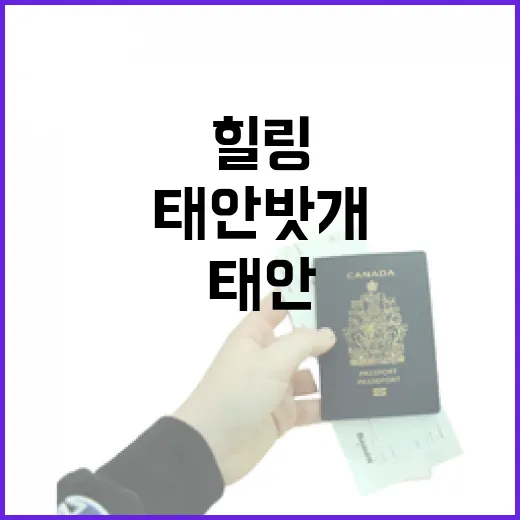 태안 밧개해변, 봄날 힐링 명소