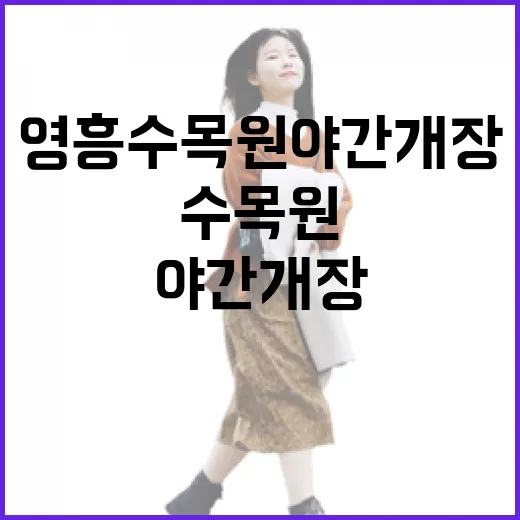 도심 속 초록빛 오아시스, 영흥수목원 야간개장 체험기