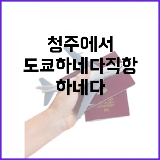 청주에서 도쿄 하네…