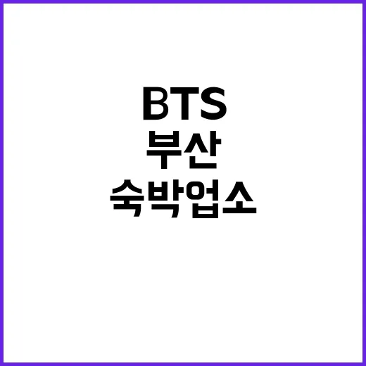 BTS 부산 공연 …