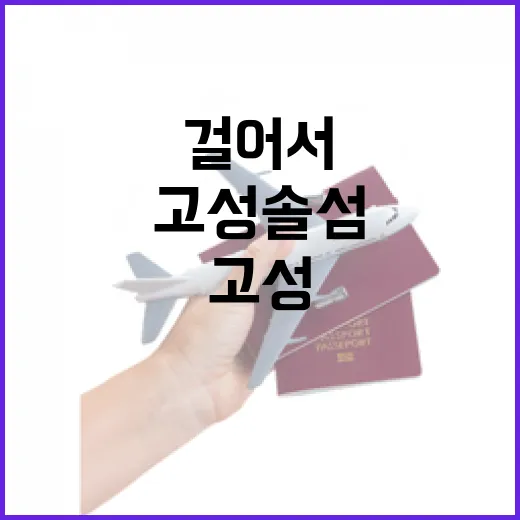 고성 솔섬, 걸어서 만나는 바다 산책길