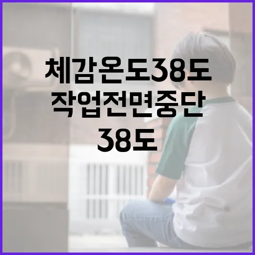 체감온도 38도 이상 시 옥외작업 전면 중단