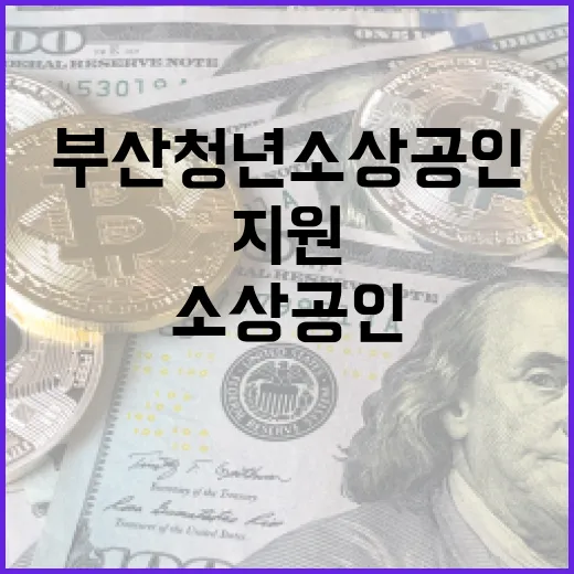 부산 청년 소상공인 디지털 전환 지원 강화