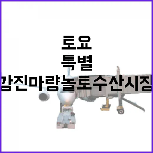강진 마량놀토수산시장 토요 특별한 만남