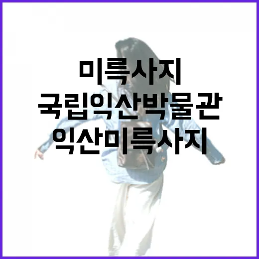 익산 미륵사지와 국립익산박물관 완벽 가이드