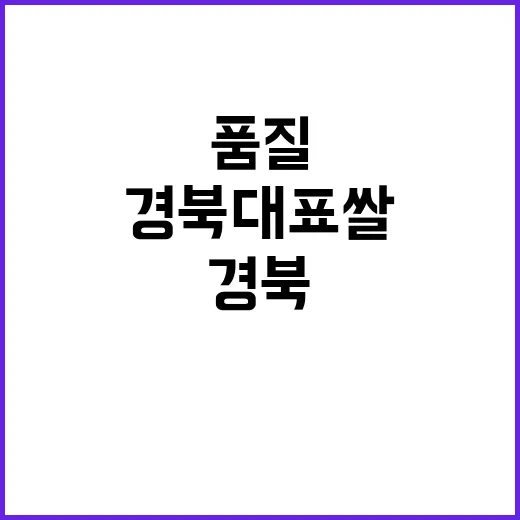 경북 대표 쌀 6종…