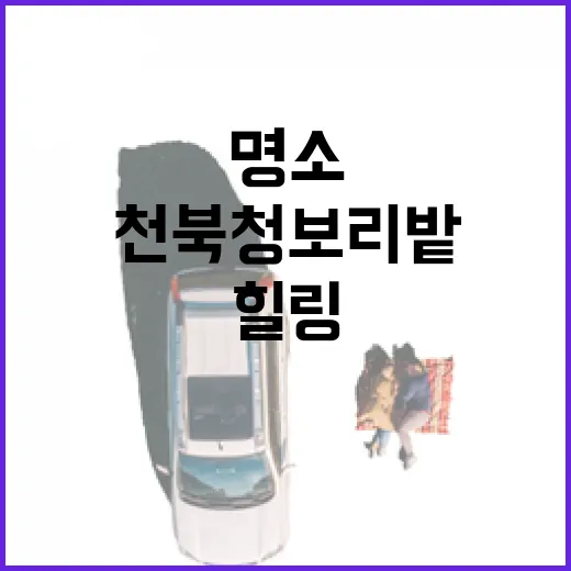 보령 천북 청보리밭 봄 힐링 명소