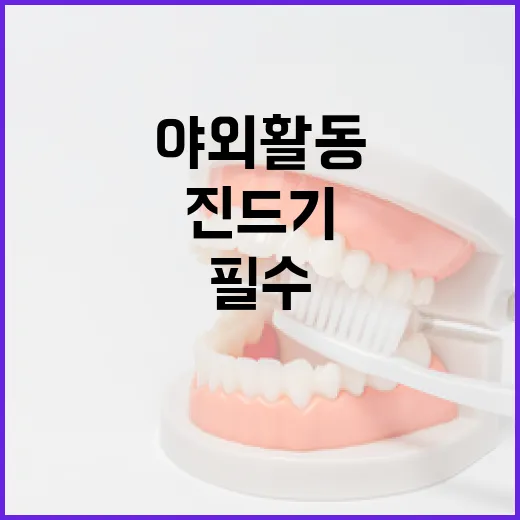 야외활동 필수 진드기 예방 수칙