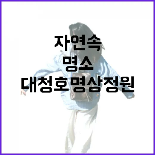 대청호 명상정원, 자연 속 힐링 산책 명소