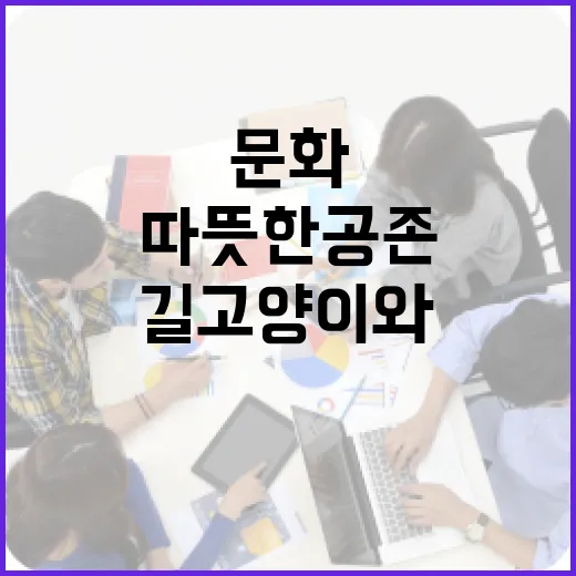 봄맞이 길고양이와 따뜻한 공존 문화