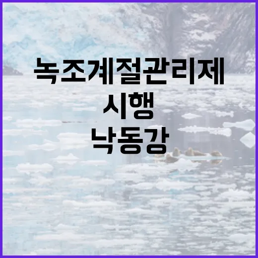 녹조계절관리제 첫 시행, 예측지점 확대와 낙동강 보 개방