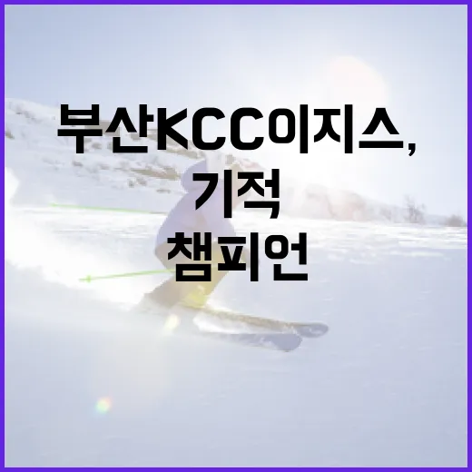 부산 KCC 이지스, 기적의 챔피언 등극