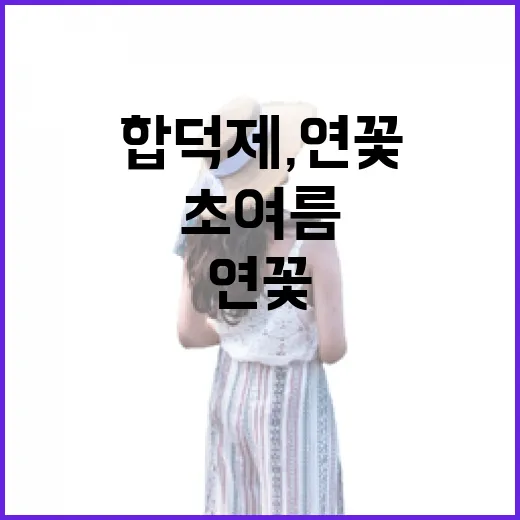 초여름 합덕제, 연꽃과 함께 걷는 여유