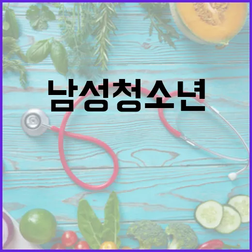 2014년생 남성 청소년 HPV 백신 무료 접종 시작