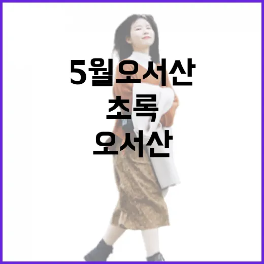 5월 오서산 초록 풍경과 등산 코스 안내