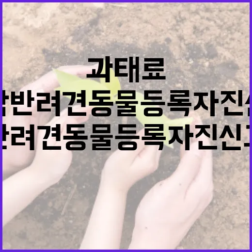경남 반려견 동물등록 자진신고, 과태료 면제 기회