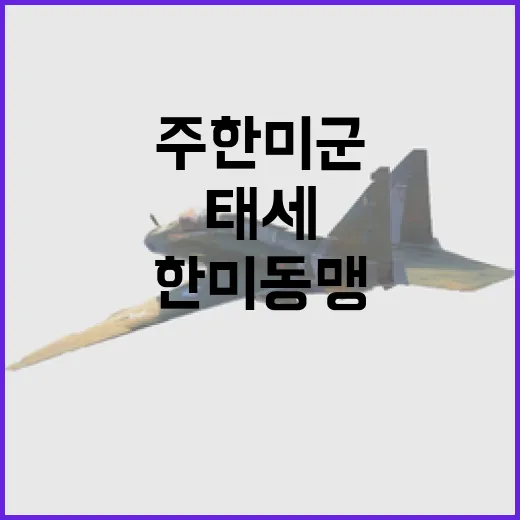 주한미군, 한미동맹 굳건한 대비태세 유지