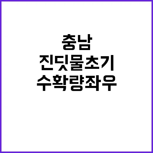 충남 진딧물 초기 …