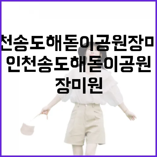 인천 송도 해돋이공원 장미원 산책길 탐방기