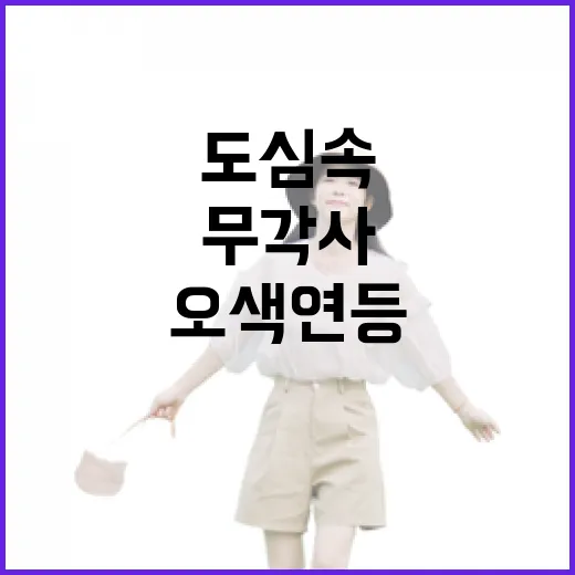 도심 속 무각사 오색연등의 찬란한 빛