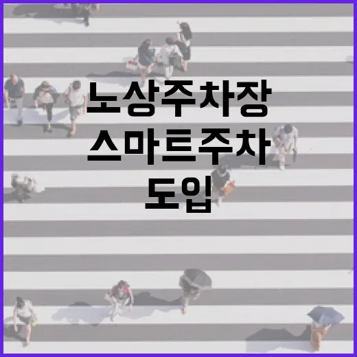 대구 노상주차장 스마트 주차 전면 도입
