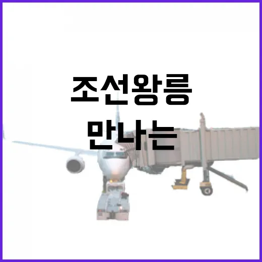조선왕릉 숲길서 만나는 신록의 향연
