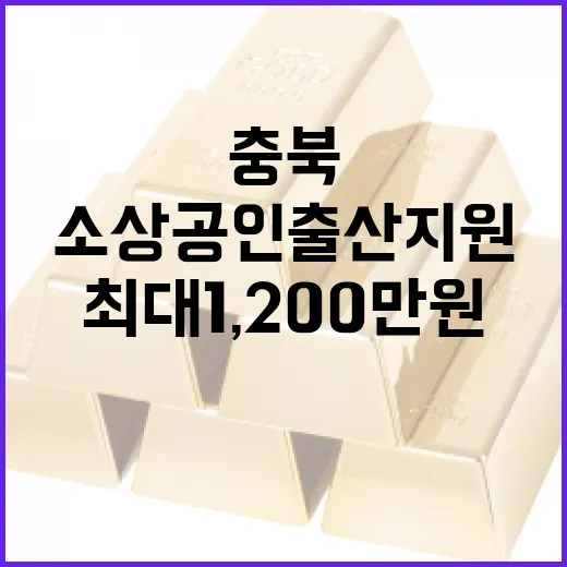 충북 소상공인 출산지원 최대 1,200만원