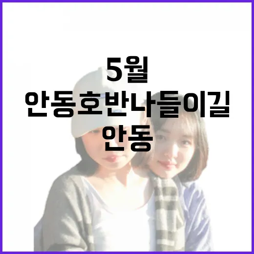 푸르른 5월, 안동 호반나들이길 산책