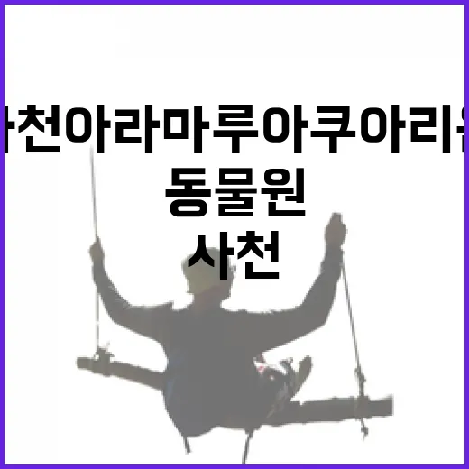 사천 아라마루 아쿠아리움과 동물원, 가족 여행 명소