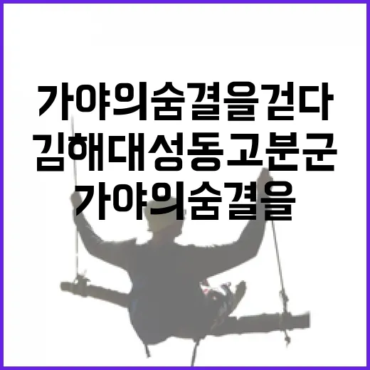 김해 대성동고분군박물관, 가야의 숨결을 걷다