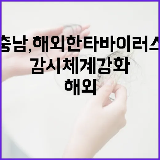 충남, 해외 한타바이러스 감시체계 강화