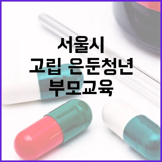 서울시, 고립·은둔 청년 부모교육 1기 모집
